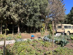   at Boutique Hotel Rancho Los Lobos in Jimena De La Frontera