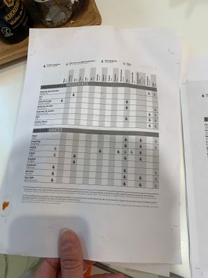 List of ingredients for the sauces   at Wok to Walk in Sao Miguel