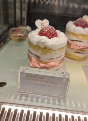  at SIN - Greendot Plus - Jewel in East Singapore