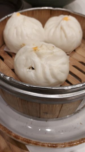  at SIN - Greendot Plus - Jewel in East Singapore