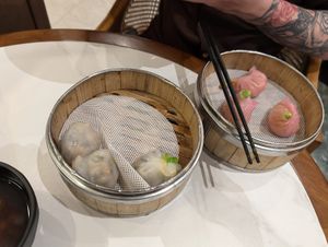  at SIN - Greendot Plus - Jewel in East Singapore