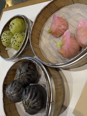   at SIN - Greendot Plus - Jewel in East Singapore