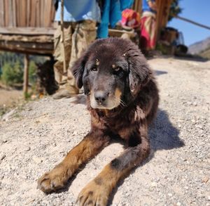  at Elite Earth Travel in Kathmandu