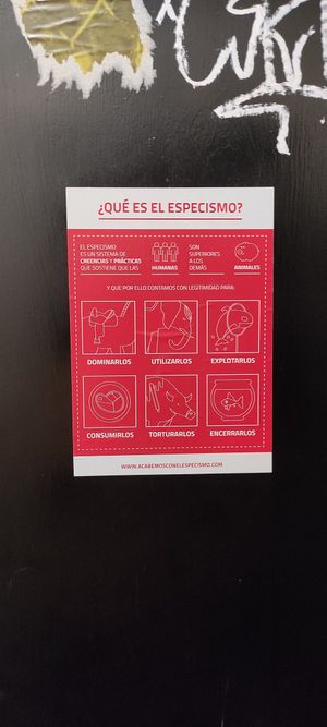 . at B13 Bar in Madrid