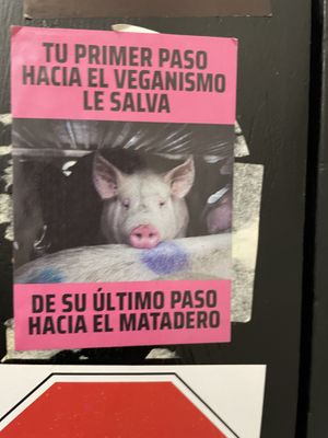 Wc sticker  at B13 Bar in Madrid