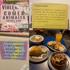   at B13 Bar in Madrid