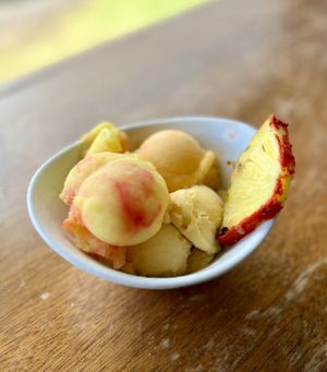 Sorbet #Veganuary at The Rim in Volcano