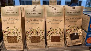 Seeds at GoodyFood in Hilversum
