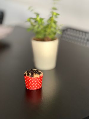 Choco Chip Vegan Muffin at The Digitale Chef - Vegan Patisserie Cafe in Bangalore