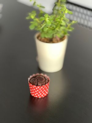 Chocolate Muffin at The Digitale Chef - Vegan Patisserie Cafe in Bangalore