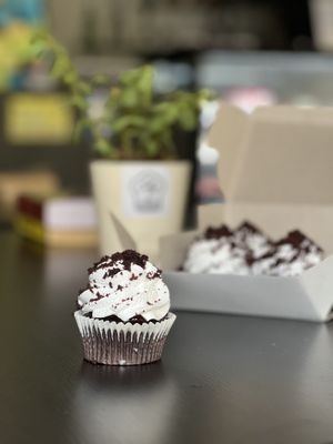 Black Forest Vegan Cupcakes   at The Digitale Chef - Vegan Patisserie Cafe in Bangalore