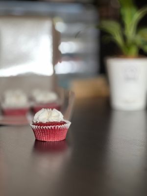 Red Velvet Cupcake with Vegan Buttercream Frosting at The Digitale Chef - Vegan Patisserie Cafe in Bangalore