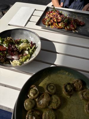 Fried Aubergine Rings & sautéed mushrooms (we just wanted a small snack and ordered just “small portions”)  at Aubergine - Aviatorilor in Bucharest