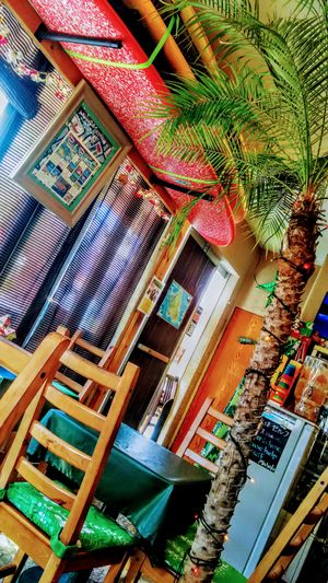 Interior at Olu Olu Cafe in Tokyo