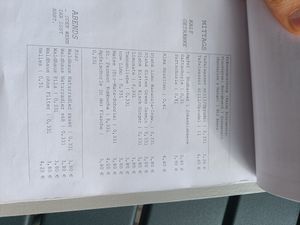  at Café Alma in Freiburg