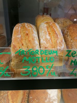  at LA Revolucio Del Pa Ecologic in St Celoni