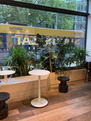   at Stadtsalat in Cologne