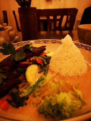 Vegan crispy duck with peanut sauce 🥜 at Noodle Village in Berlin