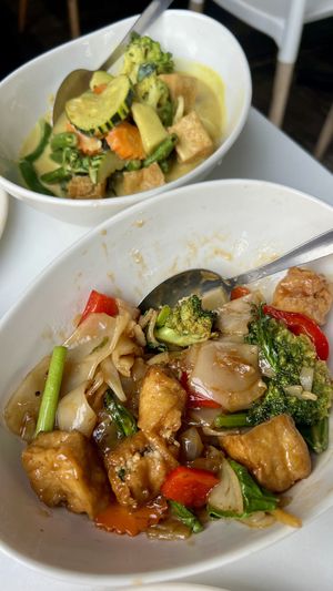 Gourmet noodles and green curry with tofu  at Manly Thai Gourmet in Manly