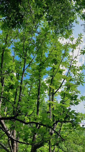   at VeganLife SoiSoi in Kyoto