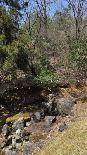  at VeganLife SoiSoi in Kyoto