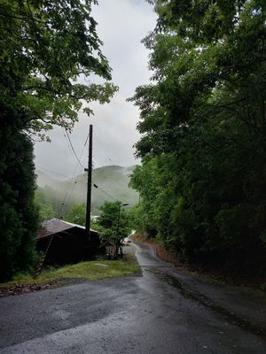  at VeganLife SoiSoi in Kyoto