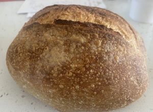Sourdough 🤍🌱  at Bolivar Bread Bakery in Harpers Ferry