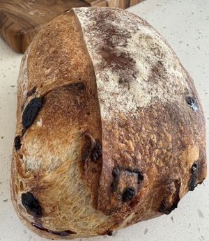 Chocolate cherry sourdough 🤍🌱  at Bolivar Bread Bakery in Harpers Ferry