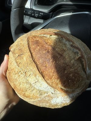 Pesto sourdough 🤍🌱  at Bolivar Bread Bakery in Harpers Ferry