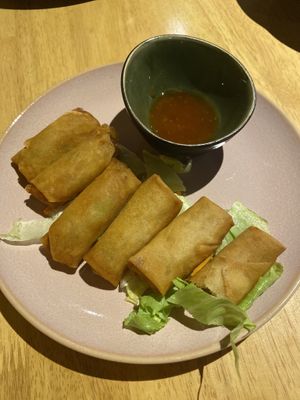 Starter: deep fried spring rolls. A bit stingy with the sweet chilli sauce.   at AnTee Vegan in Hamburg