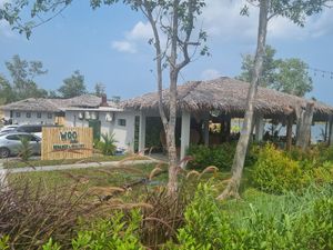  at Woo Phuket in Phuket