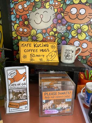 Lots of gifts and merchandise for sale to support the charity  at Kafe Kuching - Cats of Gili in 