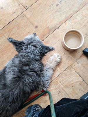  at Union Yoga + Cafe in Ramsgate