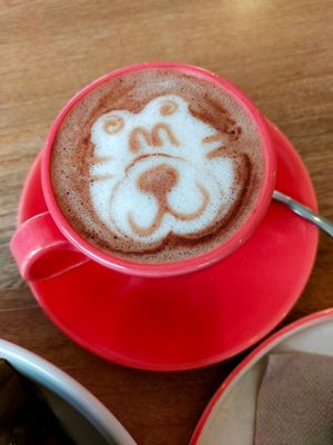 Cutest hot chocolate at Valiente Café in Bogota