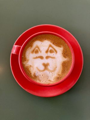   at Valiente Café in Bogota