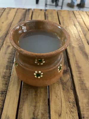 pulque  at Espacio Nómada in Xalapa