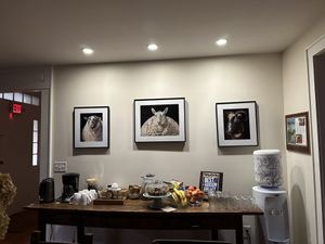   at The Homestead Guesthouse in Saugerties