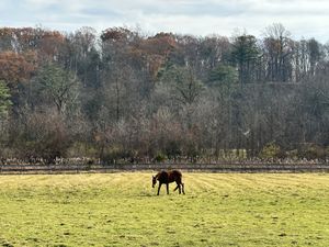   at The Homestead Guesthouse in Saugerties