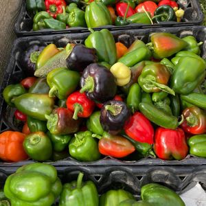 peppers at Creme de la Crop in Valparaiso