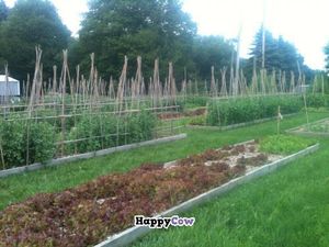 Spring Raised Bed Area - Produce is distributed through our Community Supported Agriculture Program. at Creme de la Crop in Valparaiso
