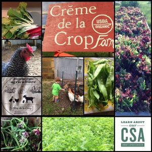 2014 CSA at Creme de la Crop in Valparaiso