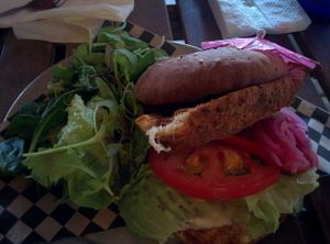 Spicy chicken burger; crispy fried chicken, cranberry chutney, jalapeño aioli, pickled red onions, romaine, tomato, house baked bun with side salad at Hella Vegan Eats in Oakland