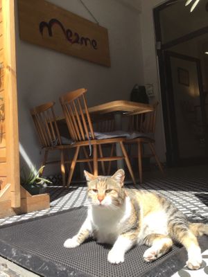  at Mezme in Istanbul