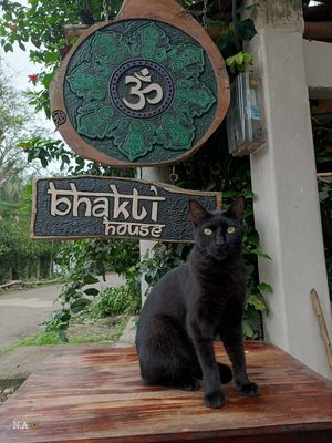  at Bhakti House Ayampe  in Ayampe