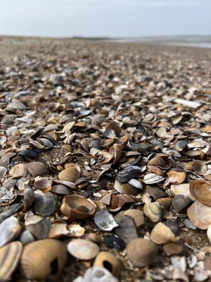 Aan het strand  at Beach Club Natural High in Ouddorp