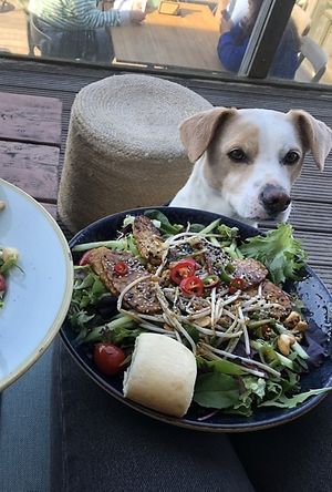   at Beach Club Natural High in Ouddorp