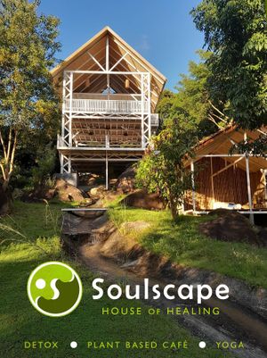  at Soulscape Café in Koh Phangan