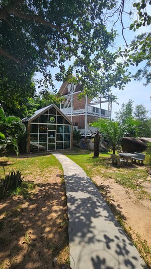  at Soulscape Café in Koh Phangan