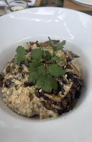 Mushroom risotto   at Soulscape Café in Koh Phangan