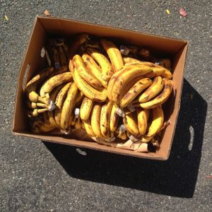 naners  at Abundance Cooperative Market in Rochester